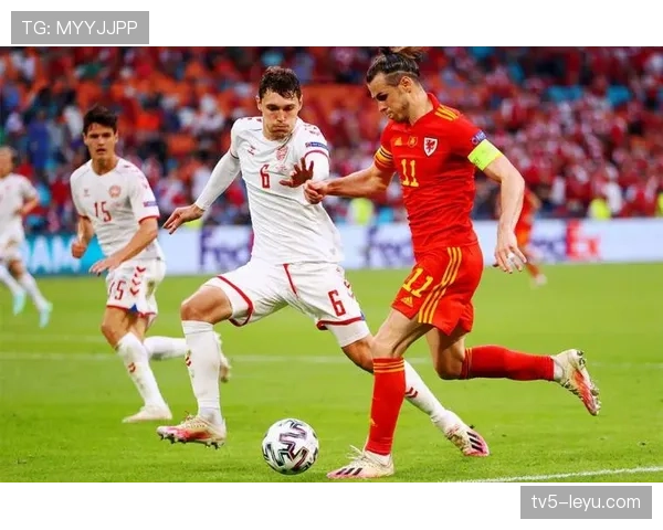 欧洲杯冠军奖金创新高 各参赛球队收入大幅提升引发关注