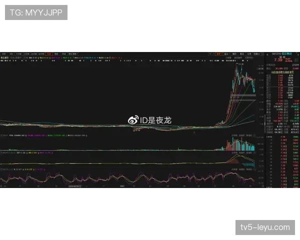 F组黑马机会与风险分析